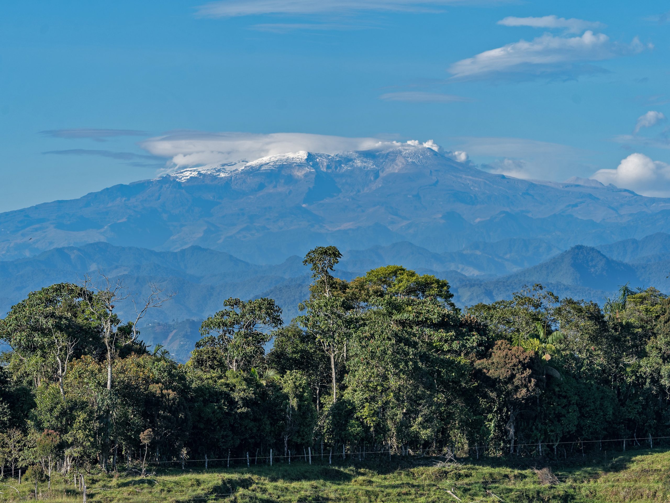 Colombia: A Global Biodiversity Powerhouse with 2,000 Bird Species and Unmatched Landscapes.